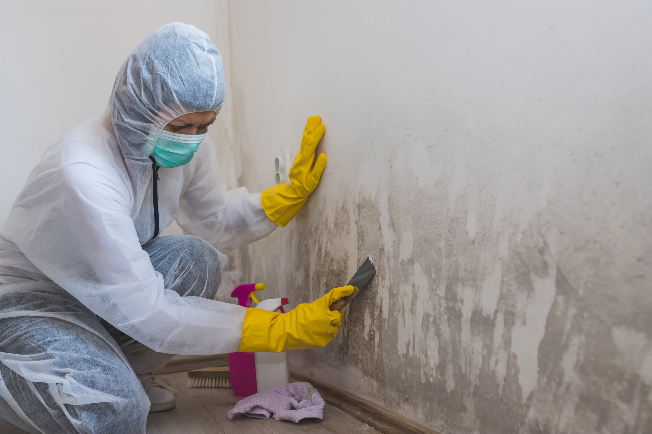 Mold Removal Control