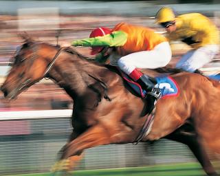Jockey on a horse during a race running fast